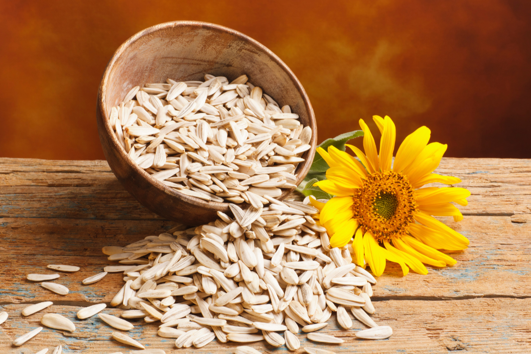 Sunflower seeds Without shell