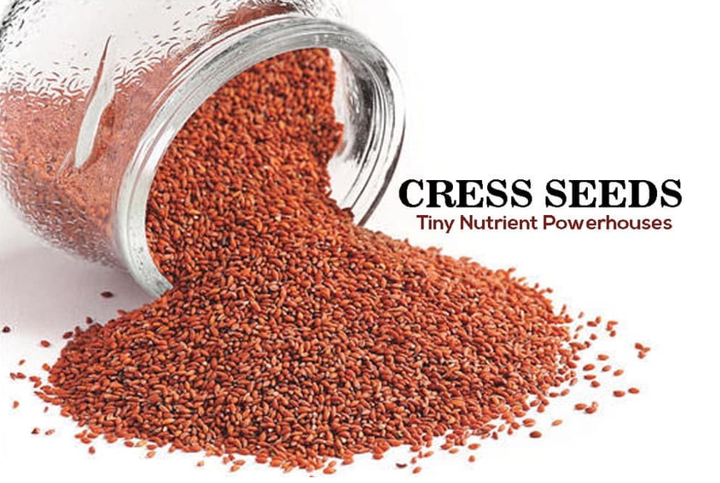 Haloon Seeds - Halim Seeds